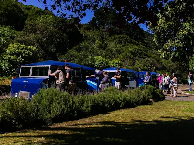 Outeniqua Powervan